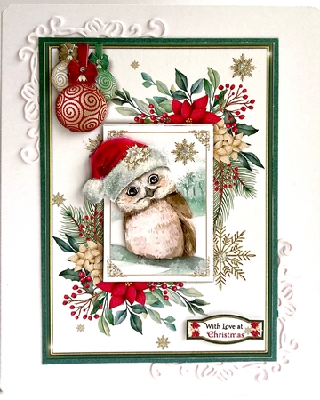 The Christmas Owl by Jan Salisbury