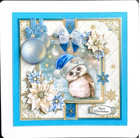 The Christmas Owl by Jan Salisbury