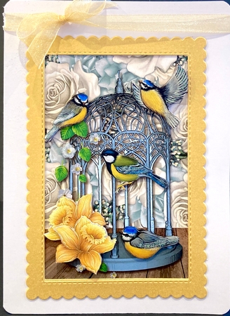 A5 Birdcage & Birds Mini Kit by Jan Salisbury
