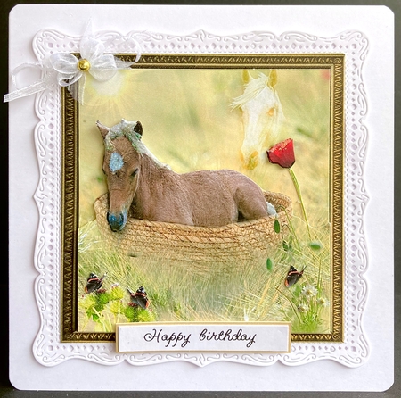foal in a basket by Jan Salisbury