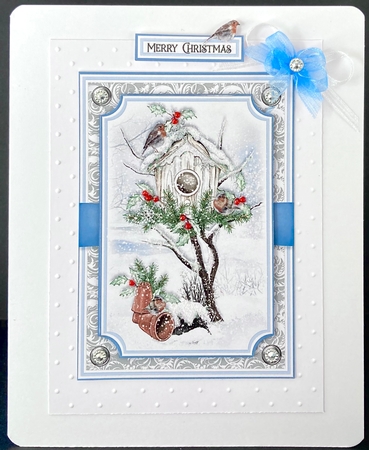 Winter Bird House 7x5 Bumper Kit by Jan Salisbury