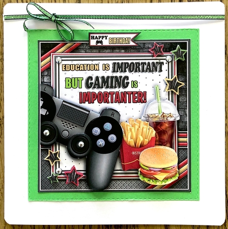 The Gamer by Jan Salisbury