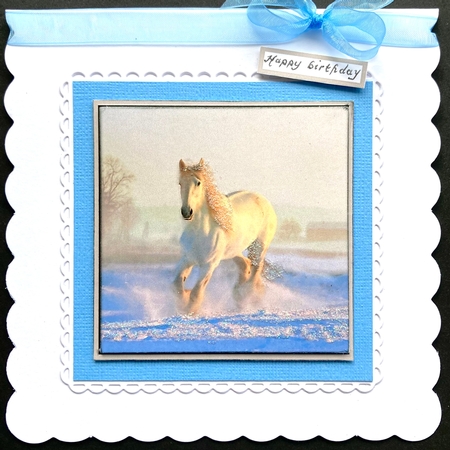 White Horse in Snow Quick Card by Jan Salisbury