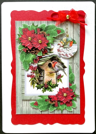 A5 Christmas Robin Mini Kit by Jan Salisbury