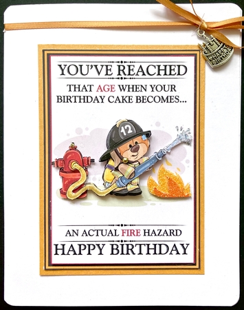 Fire Hazard by Jan Salisbury