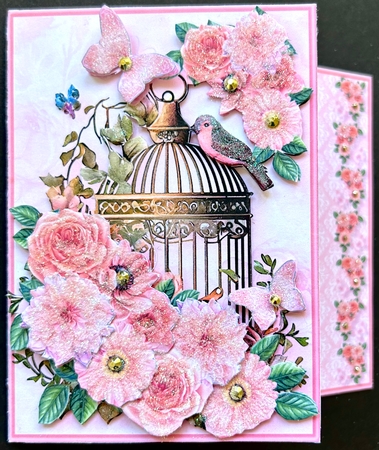 Gilded Cage - Offset Card Mini Kit by Jan Salisbury