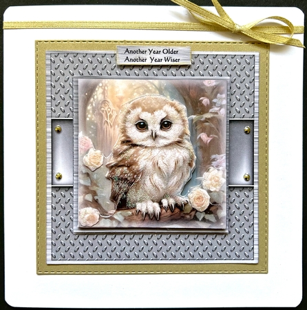 Wise Owl Male Card Mini Kit by Jan Salisbury
