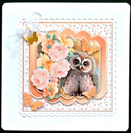 Baby Owl - Decoupage Card Mini Kit by Jan Salisbury