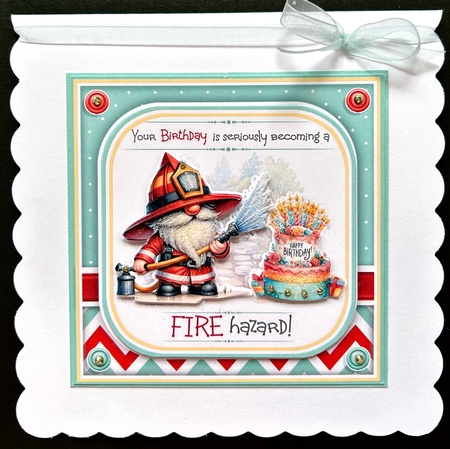 Fire Hazard! by Jan Salisbury