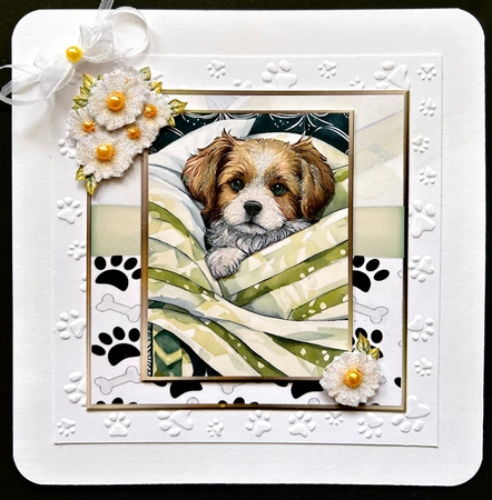 Paw Prints Mini Kit by Jan Salisbury