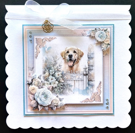 cup1366818_1443 - Paw Prints (Labrador)