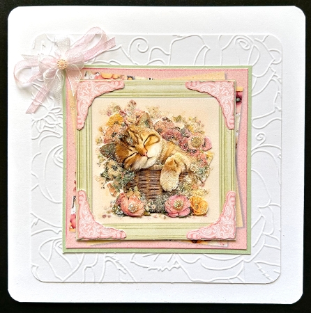 Hello Spring 8 6x6 by Jan Salisbury