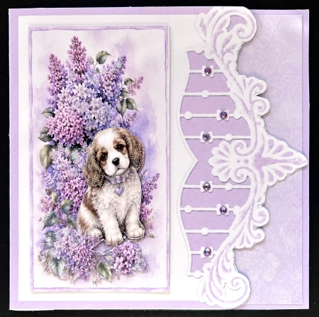 Lilac Floral Dog 7x7 Card Kit with Cute Puppy and Just For You Tag by Jan Salisbury