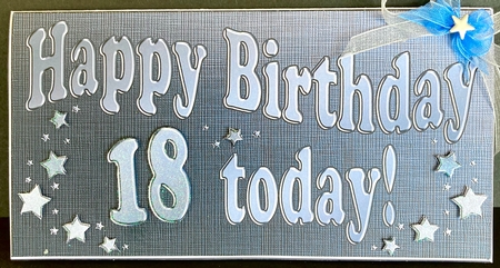 18th Birthday Metallic Age Money or Gift Wallet and Card by Jan Salisbury