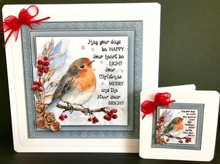Forest Robin Christmas Mini Kit by Jan Salisbury