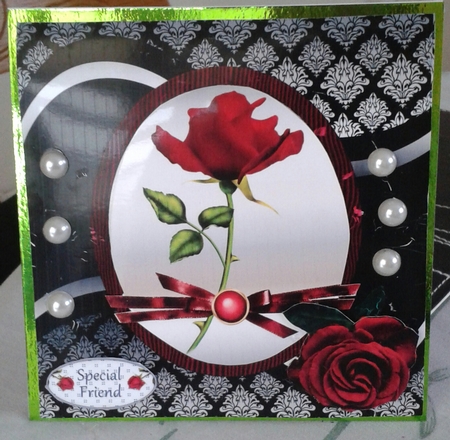 Red Rose Black Silver Damask by Jane Appleton-Lowles