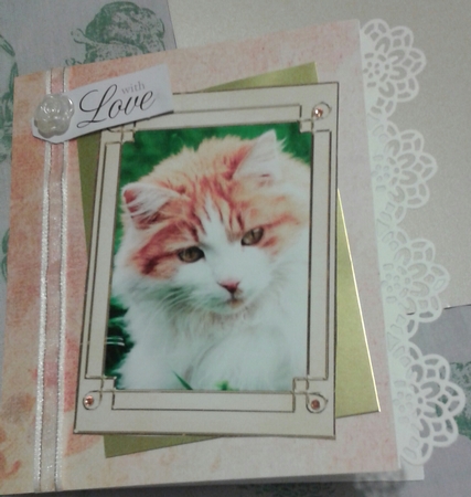 Cats Tags / Note cards by Jane Appleton-Lowles