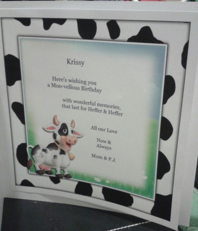 Holy Cow by Jane Appleton-Lowles