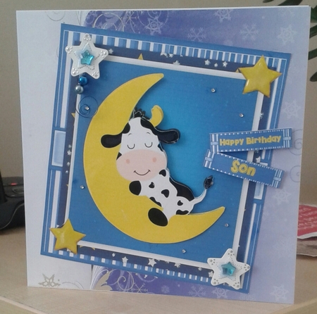 The Cow Slept on the Moon by Jane Appleton-Lowles