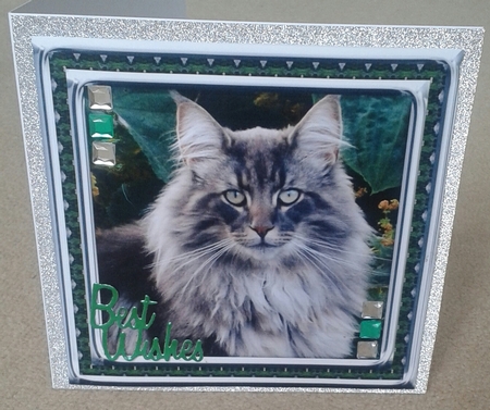 JJ LOVE MY CAT 22 8X8 by Jane Appleton-Lowles