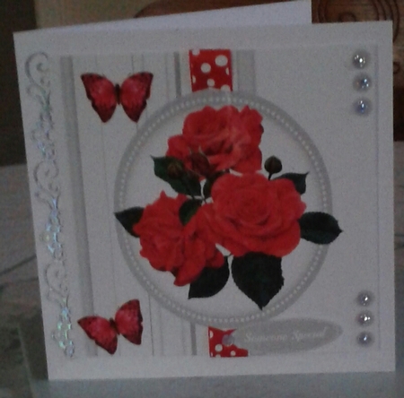 Beautiful Red Roses 4 by Jane Appleton-Lowles