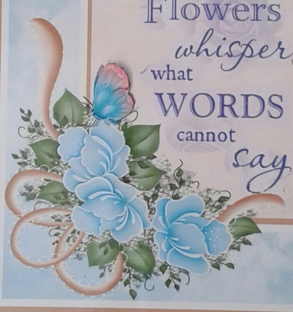 Teal Blue Butterflies  by Jane Appleton-Lowles