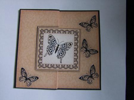 Big Butterfly - No-Hole Fold Back Card Featured Gallery Photo