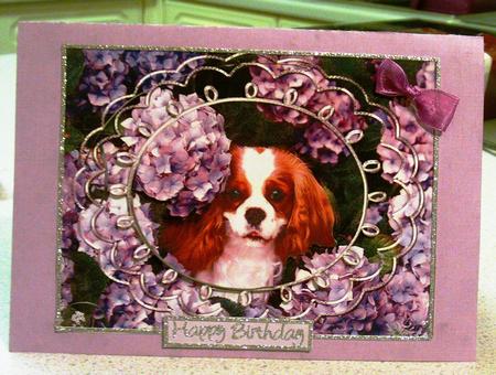 King Charles Cavalier Hiding in the Flowers by jane clark