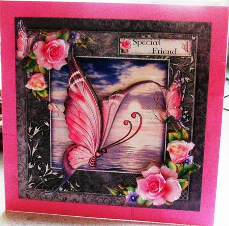 Sunset Butterfly by jane clark