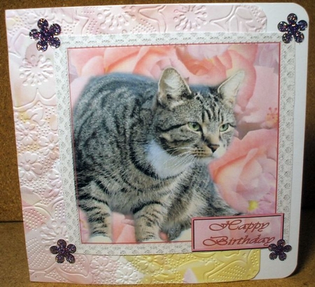Cat Topper by Jane Halton