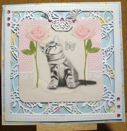  Cute  Kitten In Vintage Frame by Jane Halton