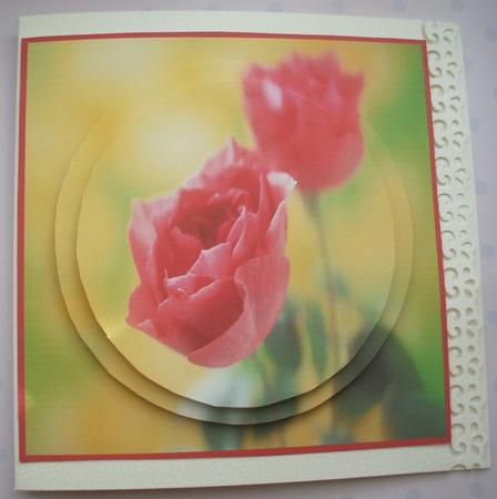 Beautiful Red Roses Circle Pyramid by Jane Halton