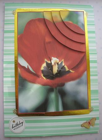 Beautiful Floral 2 Corner Stacker by Jane Halton