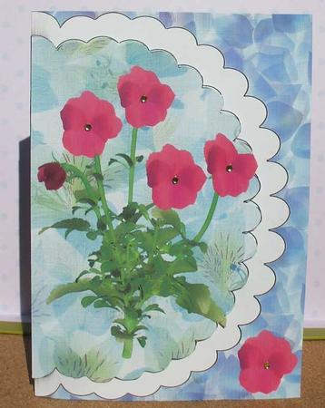 Scalloped Pink Pansies by Jane Halton