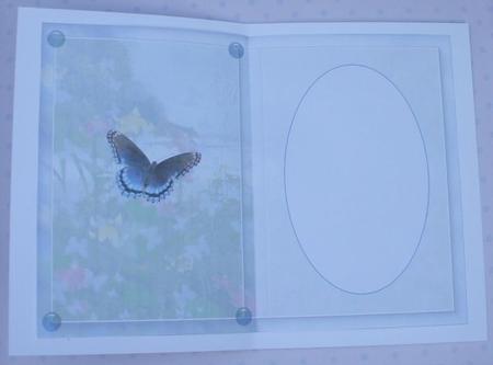 Butterfly Garden Insert Sheet by Jane Halton