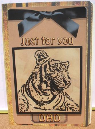 Tiger for You by Jane Halton