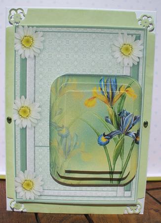 Iris and Daisy by Jane Halton