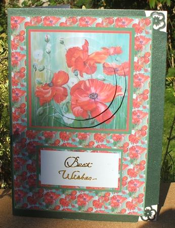 The Poppy Fiels Anniversary by Jane Halton