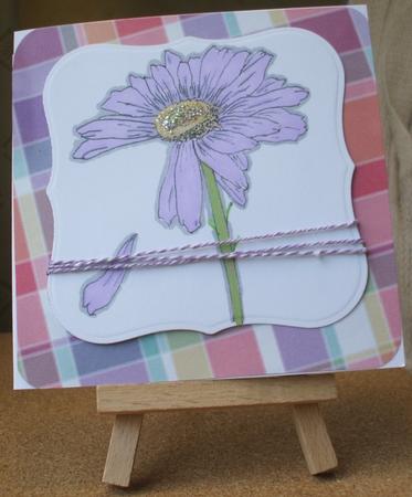 Daisy by Jane Halton