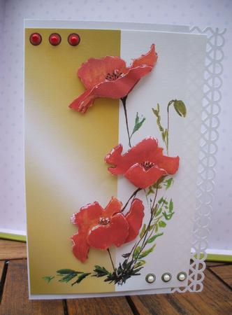Hand Painted Poppys Gold by Jane Halton