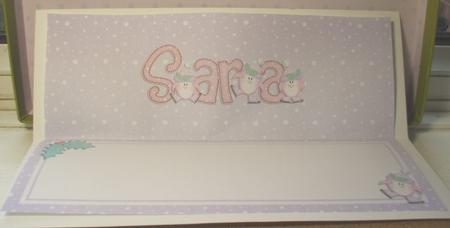 Xmas Sara Matching Large Dl Insert by Jane Halton