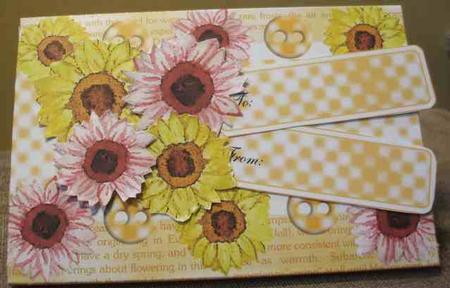 Gerbera Daisy Gifts and Money Wallet by Jane Halton