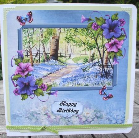 Bluebell Woods by Jane Halton