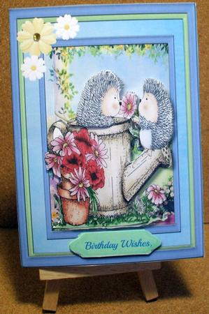 A5 Mini Kit Hedgehog Popsy Daisy  by Jane Halton