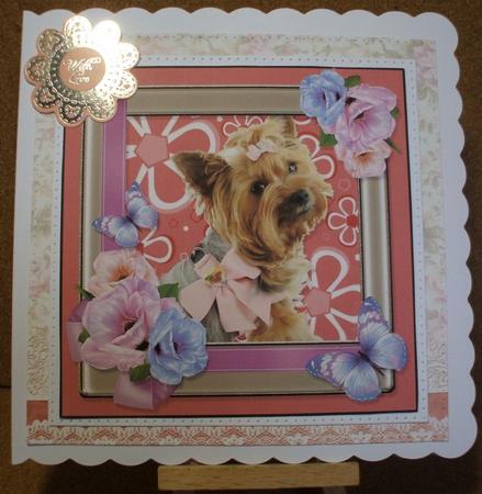 Pretty Puppy by Jane Halton