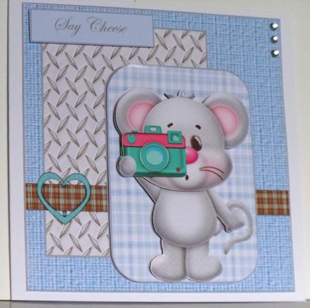 Mouse Photographer by Jane Hamilton