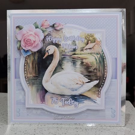 PRETTY SWANS by Jane Minto
