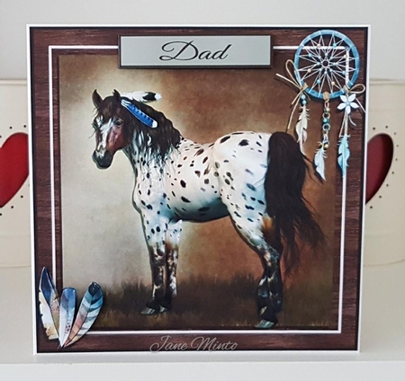 INDIAN HORSE  by Jane Minto