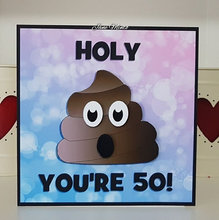 HOLY **** YOURE 50!  by Jane Minto
