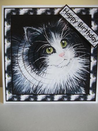 Sammy the Cat Card Front and Pyramid by Jane Wallace